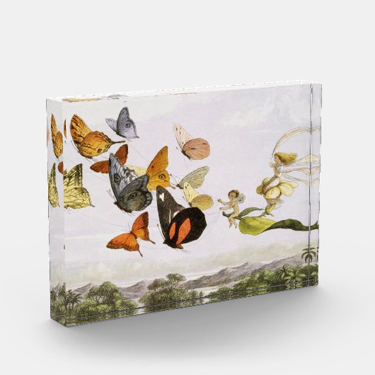  vlinders en lichte oude illustratie fotoblokken (Links)