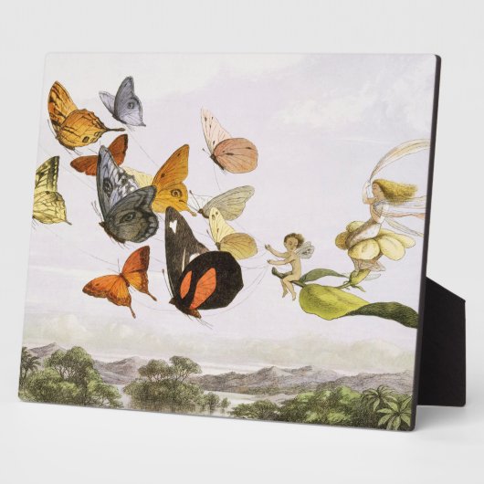  vlinders en lichte oude illustratie fotoplaat (Zijkant)