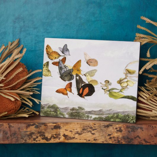  vlinders en lichte oude illustratie fotoplaat (Zijkant)