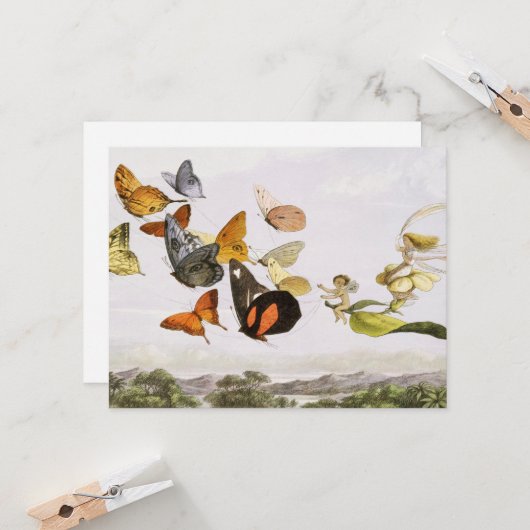  vlinders en lichte oude illustratie kaart (Voorkant / Achterkant in situ)