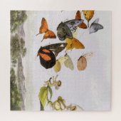 vlinders en lichte oude illustratie legpuzzel (Horizontaal)