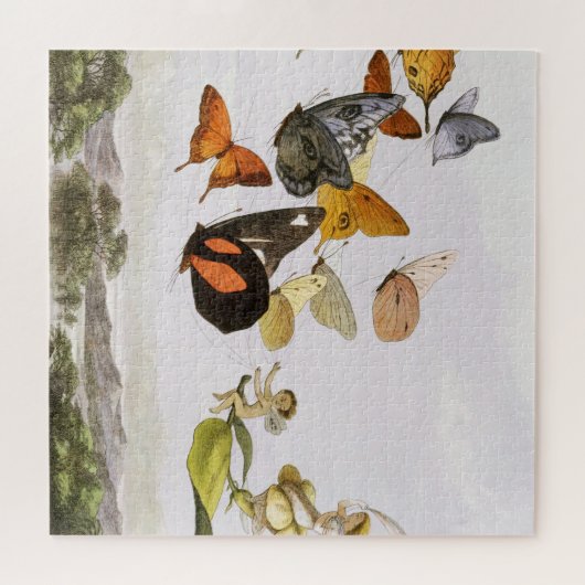  vlinders en lichte oude illustratie legpuzzel (Horizontaal)