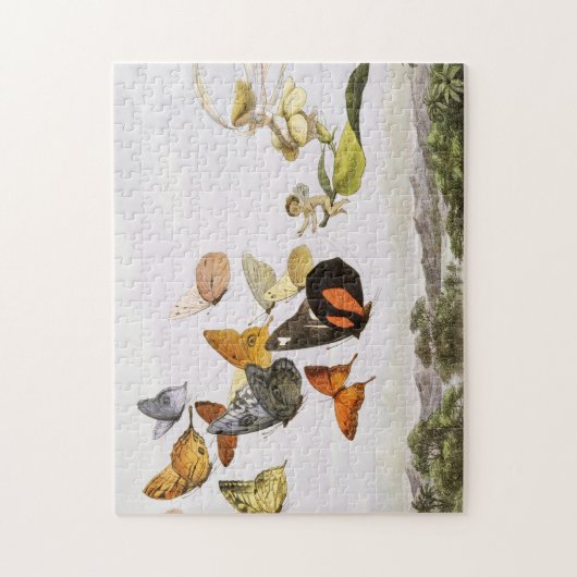 vlinders en lichte oude illustratie legpuzzel (Verticaal)