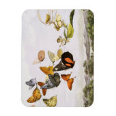  vlinders en lichte oude illustratie magneet (Verticaal)