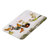  vlinders en lichte oude illustratie magneet (Linkerzijde)