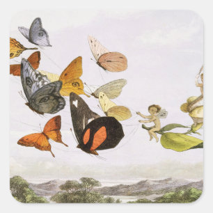 vlinders en lichte oude illustratie vierkante sticker