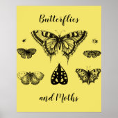 Vlinders en Motten Vintage Print (Voorkant)