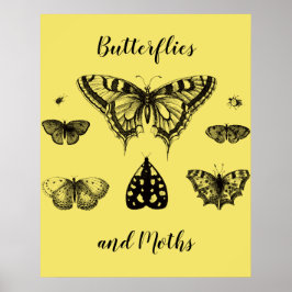 Vlinders en Motten Vintage Print