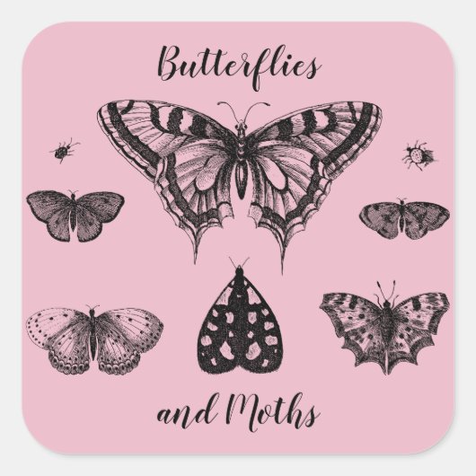 Vlinders en Motten Vintage Print Vierkante Sticker (Voorkant)