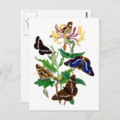 Vlinders en rode kamperfoelie briefkaart (Voorkant / Achterkant)