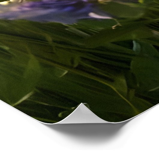 Vlinders en wilde bloemen poster (Hoek)