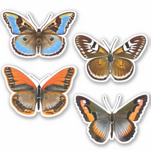 Vlinders in bruin, Sinaasappel en blauw Sticker (Voorkant)