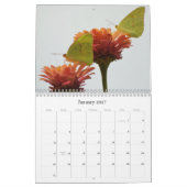Vlinders in een Bloementuin Kalender (Jan 2027)