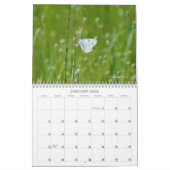 Vlinders in Natuur Kalender (Jan 2026)