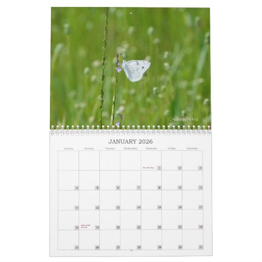 Vlinders in Natuur Kalender (Jan 2026)