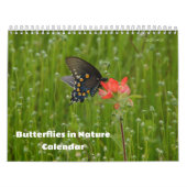 Vlinders in Natuur Kalender (Hoes)