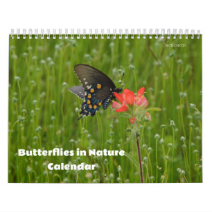 Vlinders in Natuur Kalender