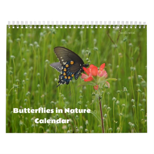 Vlinders in Natuur Kalender (Hoes)