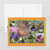 Vlinders in Summer Collage DIY Briefkaart (Voorkant / Achterkant)