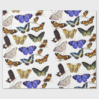 Vlinders Inpakpapier