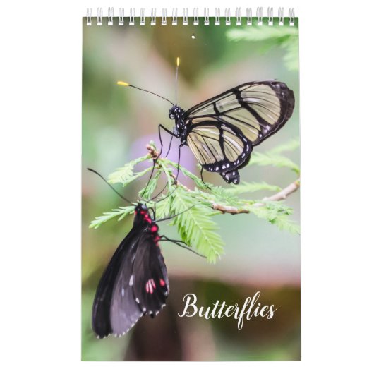 Vlinders  kalender (Hoes)