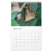Vlinders  kalender (Feb 2027)