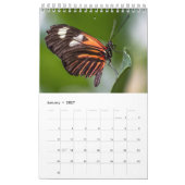 Vlinders  kalender (Jan 2027)