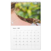 Vlinders  kalender (Mar 2027)