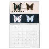 Vlinders Kalender (Jan 2027)