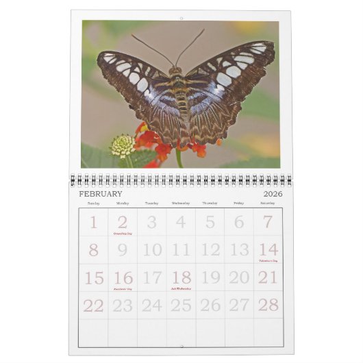 "VLINDERS" KALENDER 2026 (Feb 2026)