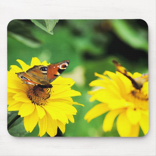 Vlinders - Mousepad Muismat (Voorkant)