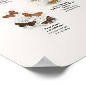 Vlinders - Naturalist's Library Poster (Hoek)