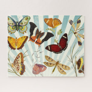 Vlinders Natuur Vlinder Legpuzzel