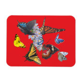 vlinders nuchterheid symbool rechthoek magneet (Horizontaal)