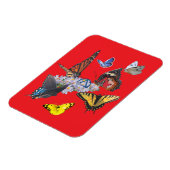 vlinders nuchterheid symbool rechthoek magneet (Linkerzijde)