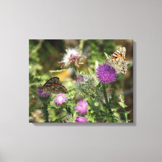 Vlinders op bloemen foto enkele print (Voorkant)