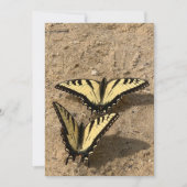 Vlinders op het strand Flat Holiday Kaart (Voorkant)