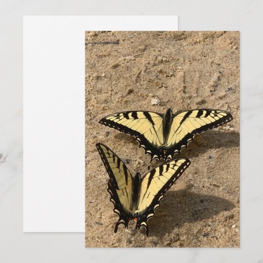 Vlinders op het strand Flat Holiday Kaart (Voorkant / Achterkant)