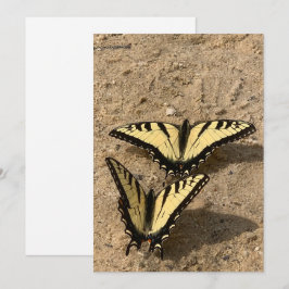Vlinders op het strand Flat Holiday Kaart