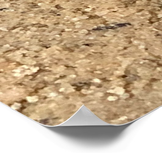 Vlinders op het strand poster (Hoek)