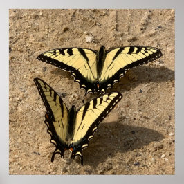 Vlinders op het strand poster
