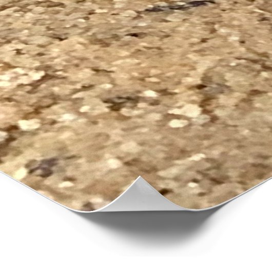 Vlinders op het strand poster (Hoek)