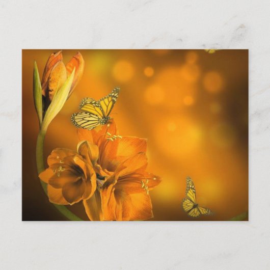 vlinders oranje briefkaart (Voorkant)