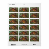 vlinders oranje  etiket (Full Sheet)