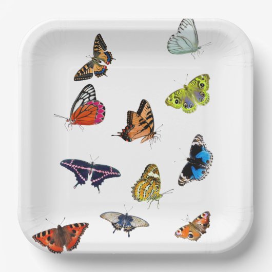 Vlinder's papieren bordje (Voorkant)