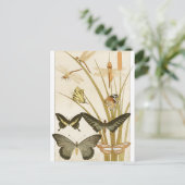  Vlinders Papillons Illustratie Briefkaart (Staand voorkant)