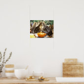 VLINDERS POSTER (Keuken)