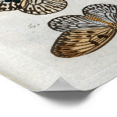 Vlinders Print Download (Hoek)