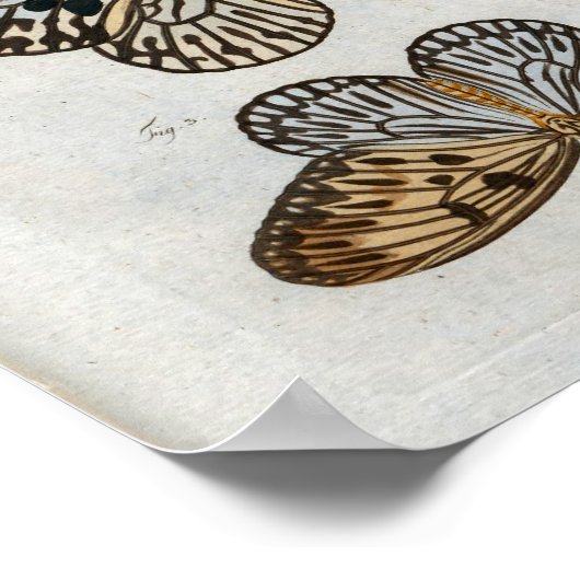 Vlinders  Print Download (Hoek)