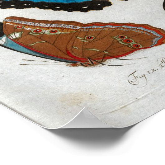 Vlinders  Print Download (Hoek)